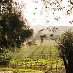 Quinta Da Torre - Anselmo Mendes