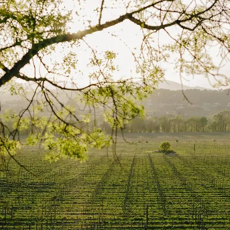 Quinta Da Torre - Anselmo Mendes Lodge *