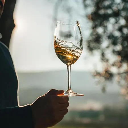 אכסניה Quinta Da Torre - Anselmo Mendes *