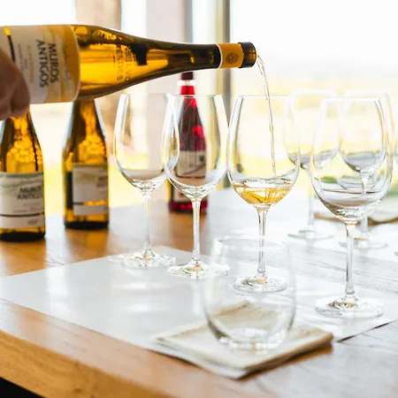 אכסניה Quinta Da Torre - Anselmo Mendes