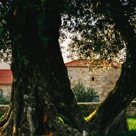 Quinta Da Torre - Anselmo Mendes