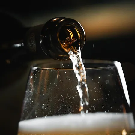 Quinta Da Torre - Anselmo Mendes *