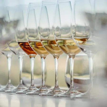 Quinta Da Torre - Anselmo Mendes