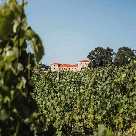 Lodge Quinta Da Torre - Anselmo Mendes Cortinhal