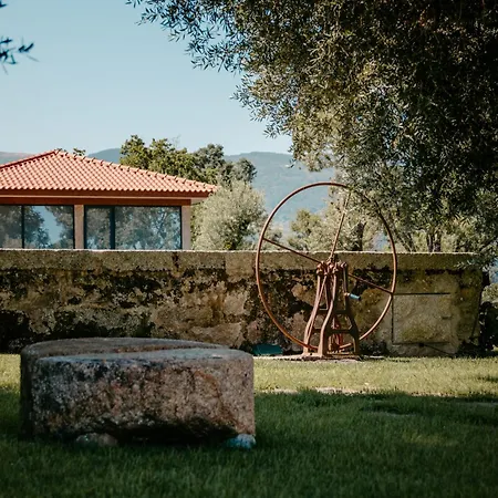 Quinta Da Torre - Anselmo Mendes 山林小屋