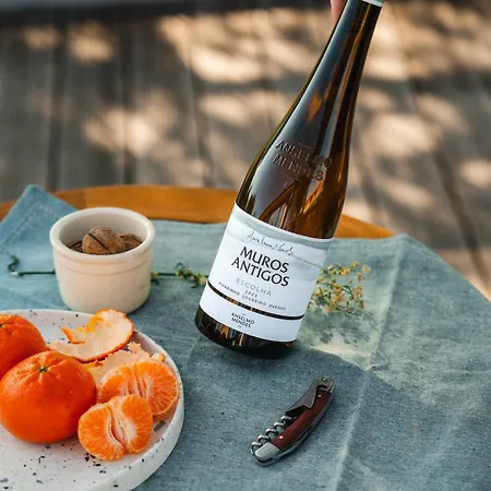 Quinta Da Torre - Anselmo Mendes Cortinhal