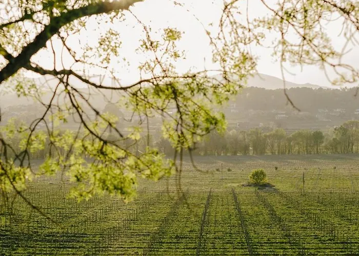 Quinta Da Torre - Anselmo Mendes Lodge *