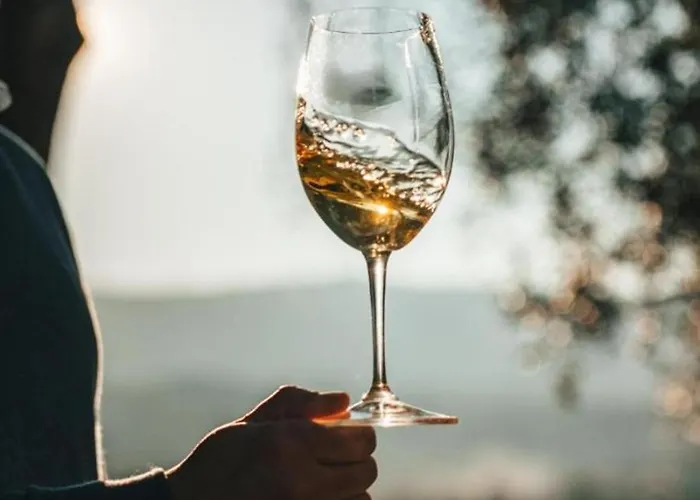 بيت خشبي Quinta Da Torre - Anselmo Mendes *