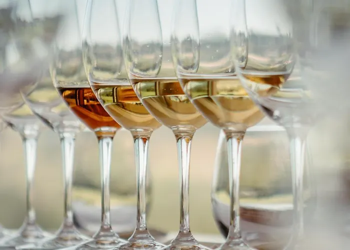 Quinta Da Torre - Anselmo Mendes