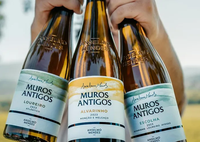 Quinta Da Torre - Anselmo Mendes 山林小屋