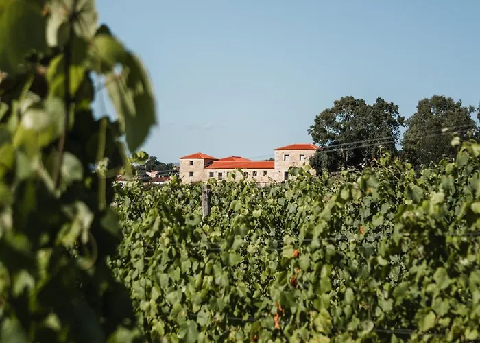 Chata Quinta Da Torre - Anselmo Mendes Cortinhal