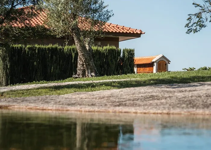 Quinta Da Torre - Anselmo Mendes Cortinhal