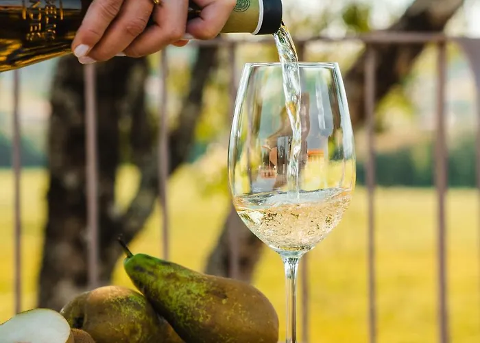 Lodge Quinta Da Torre - Anselmo Mendes *