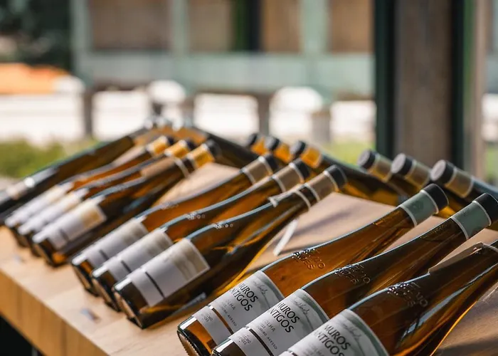 Lodge Quinta Da Torre - Anselmo Mendes