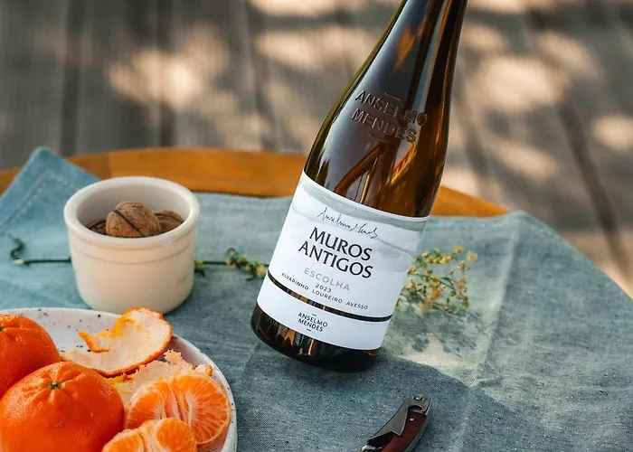 Quinta Da Torre - Anselmo Mendes Cortinhal